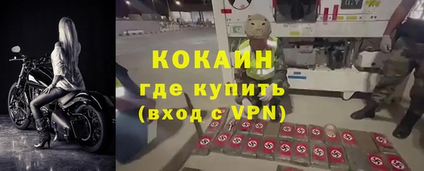 ECSTASY Данков