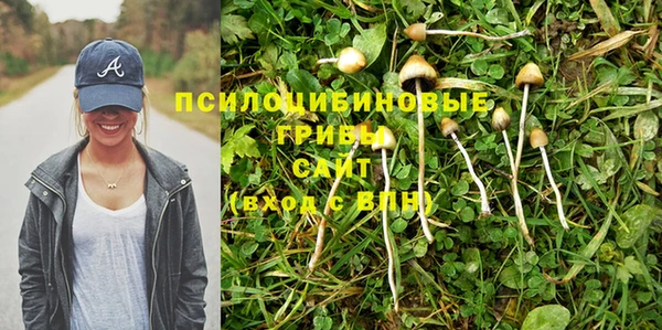 герыч Покровск