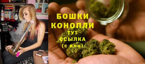 трава Покачи