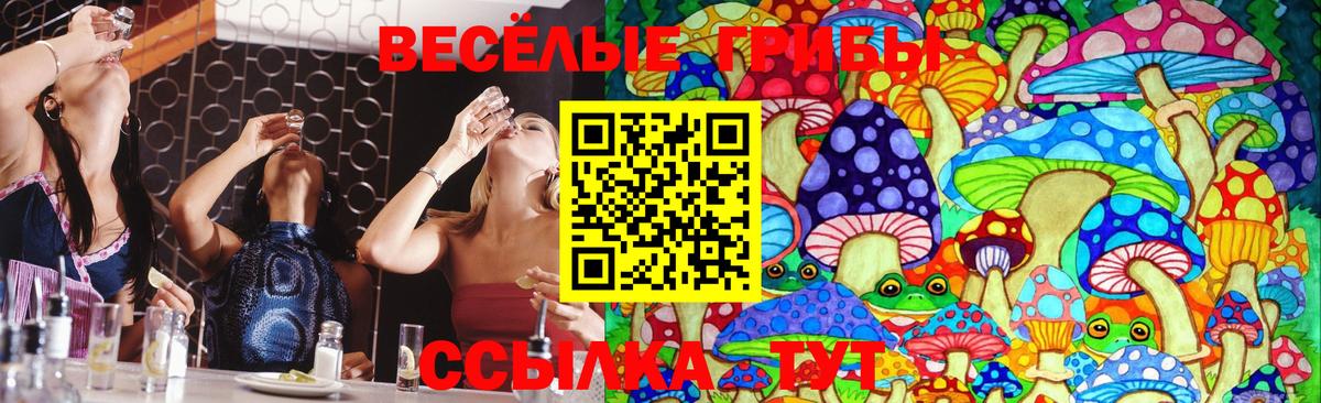 Галлюциногенные грибы Cubensis  Галлюциногенные грибы мухоморы  Вход с VPN  Переславль-Залесский 